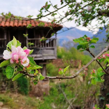 Casa La Parra Villa Villar de Vildas Buitenkant foto