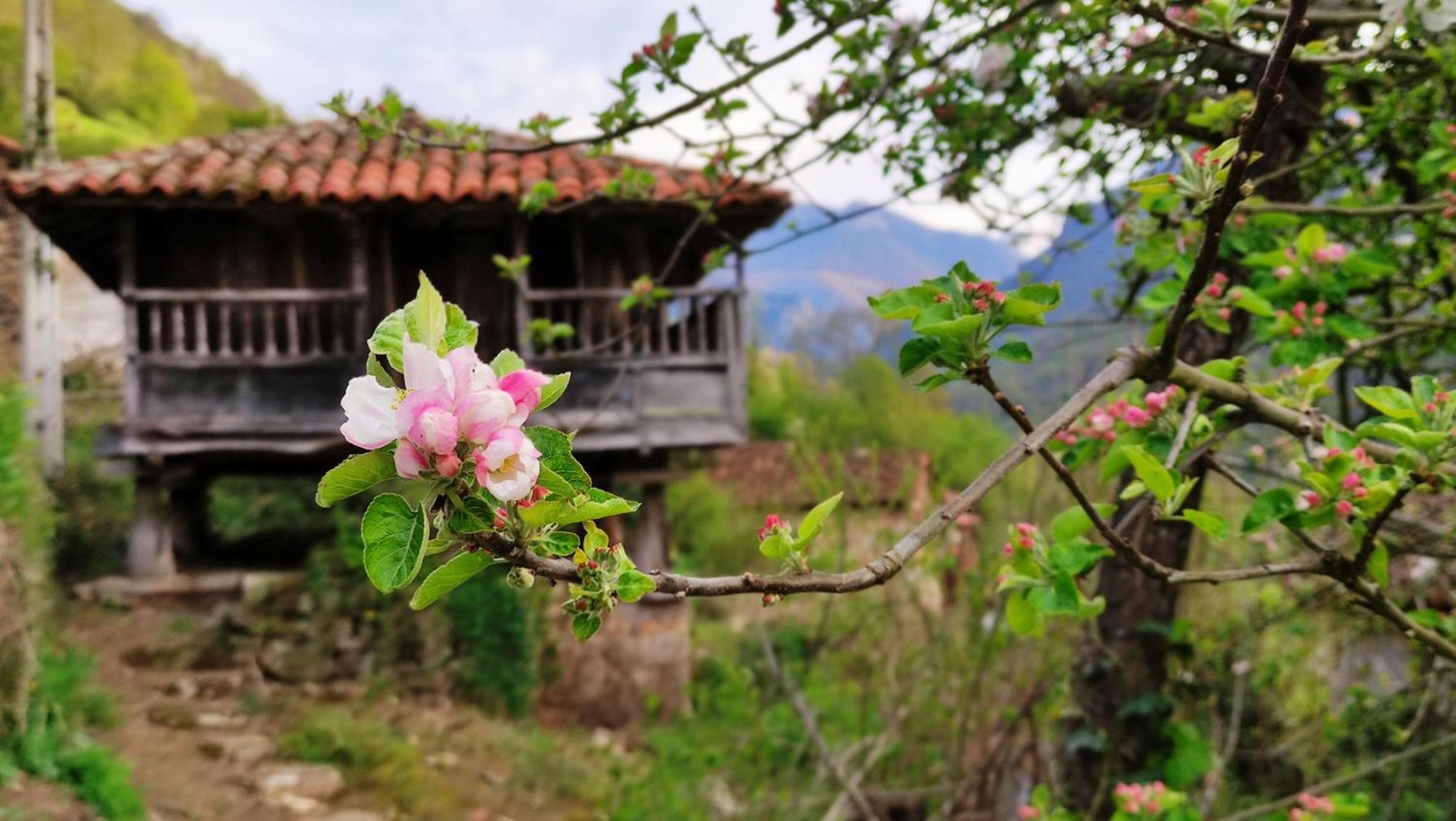 Casa La Parra Villa Villar de Vildas Buitenkant foto